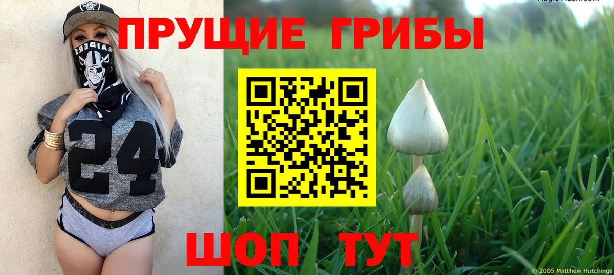 Псилоцибиновые грибы Psilocybe  Галлюциногенные грибы ЛСД  Дальнегорск  Вход с VPN 